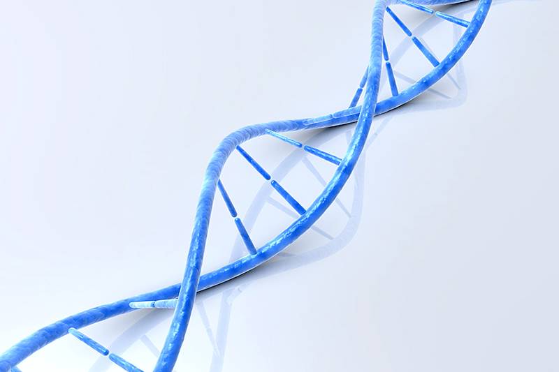 東莞醫(yī)幫醫(yī)療科技有限公司